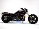 Harley-Davidson Night Road Special (Animals in the Wild)